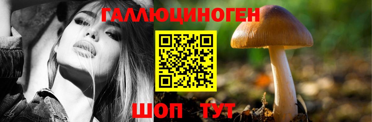Горячий Ключ  Галлюциногенные грибы Cubensis  Вход с VPN  Галлюциногенные грибы Magic Shrooms 